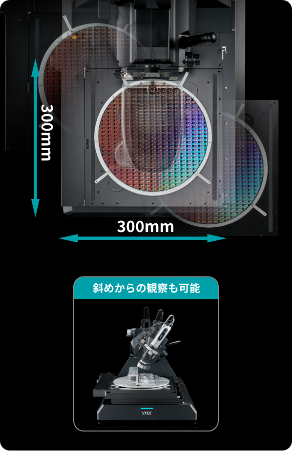 斜めからの観察も可能