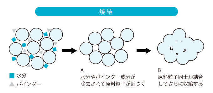 焼結 A水分やバインダー成分が除去されて原料粒子が近づく B原料粒子同士が結合してさらに収縮する