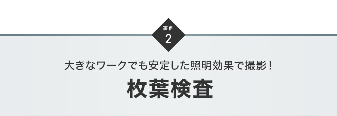 事例2 大きなワークでも安定した照明効果で撮影！枚葉検査