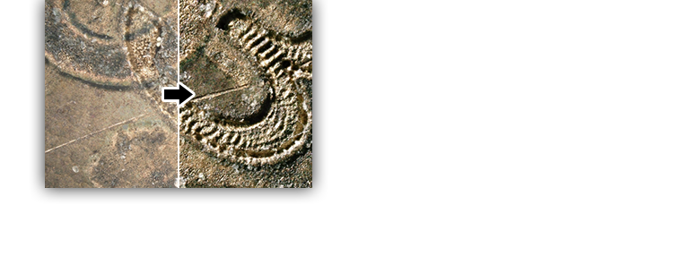 今までにない見え方と立体感