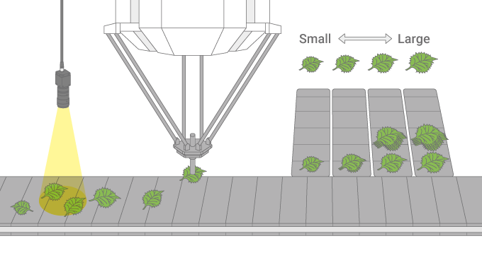 パラレルリンクロボットによるシソの葉の自動選別