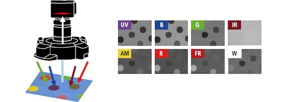 マルチスペクトル照明 | PCベース マシンビジョン向けGigEカメラ・照明